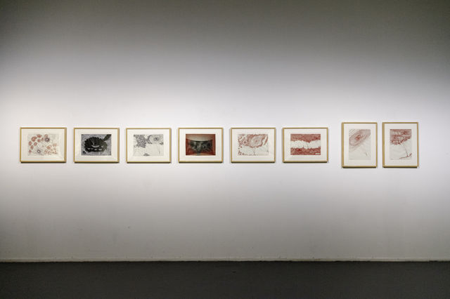 鹽田千春《命運的邊緣》木星美術館觀展