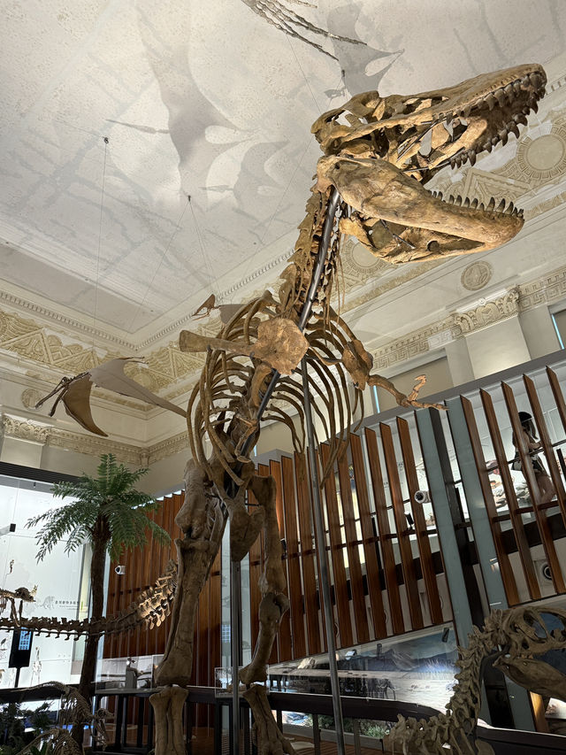 Roar-some Dinosaur Exhibits At The Natural History Museum Of Taiwan 