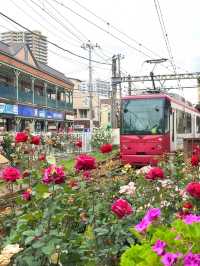 東京都電荒川線交通攻略｜搭復古電車漫遊懷舊東京