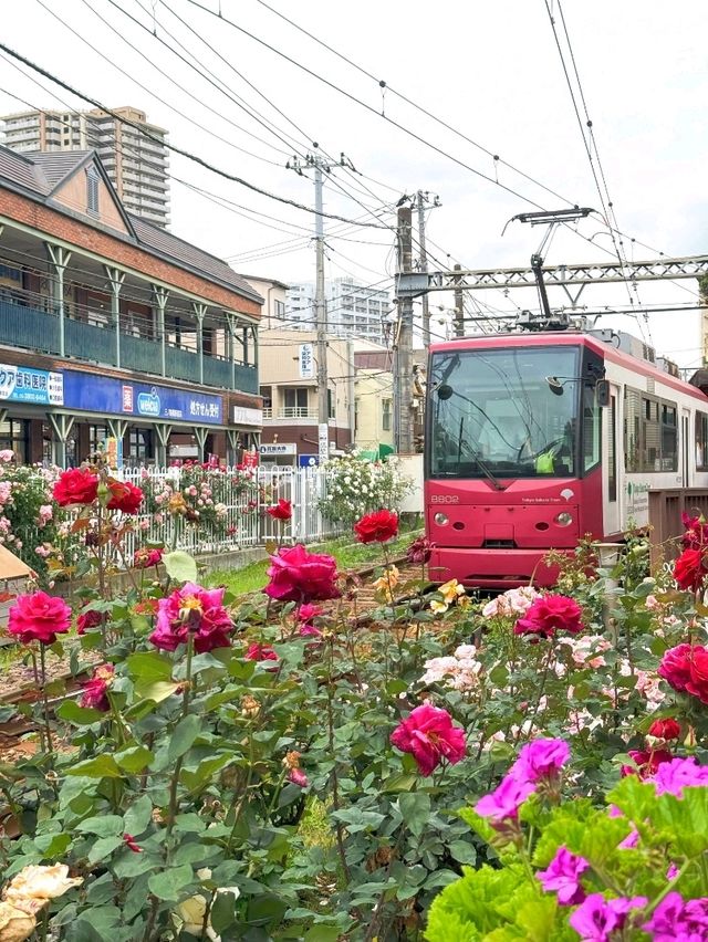 東京都電荒川線交通攻略｜搭復古電車漫遊懷舊東京