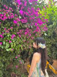 Kunming Day Trip