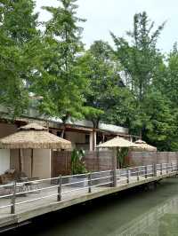 青城山裡的homestay，太治癒了