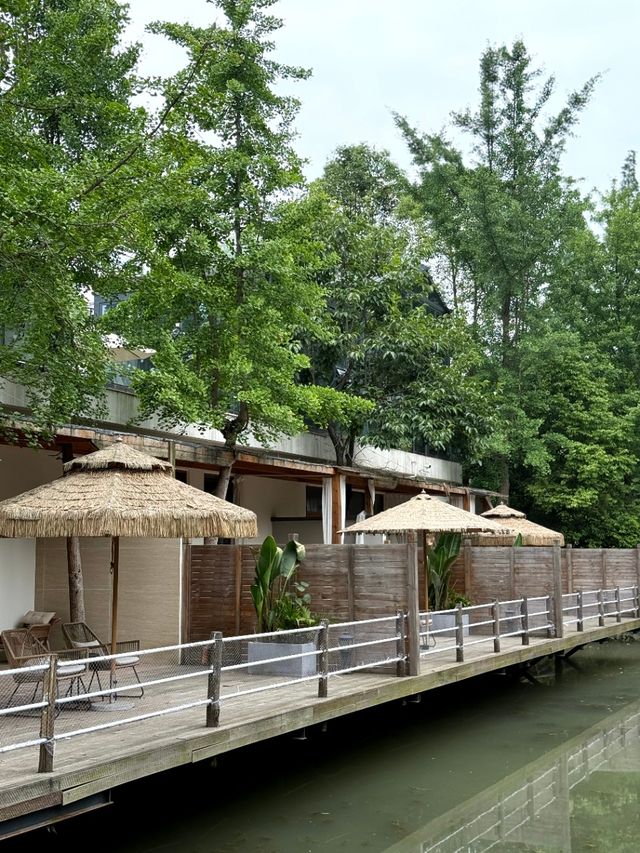 青城山裡的homestay，太治癒了