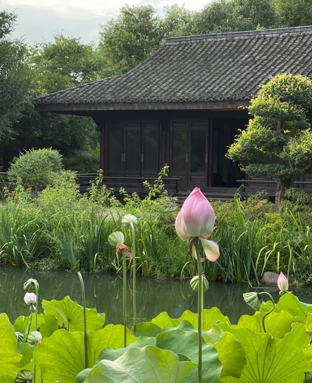 所見西溪｜杭州最有江南詩意的隱居之地