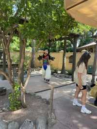 Tips for Visiting Disneyland Paris