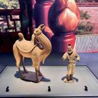 Waiting at Xi’an Airport? Visit Their Free Museum!