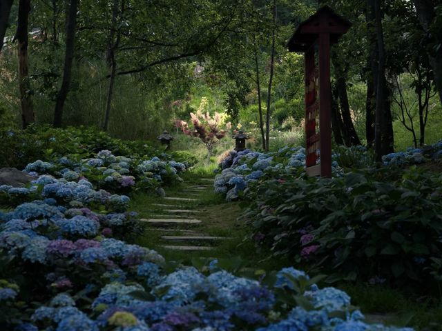 靠着蒼山入眠，偷得浮生半日閒