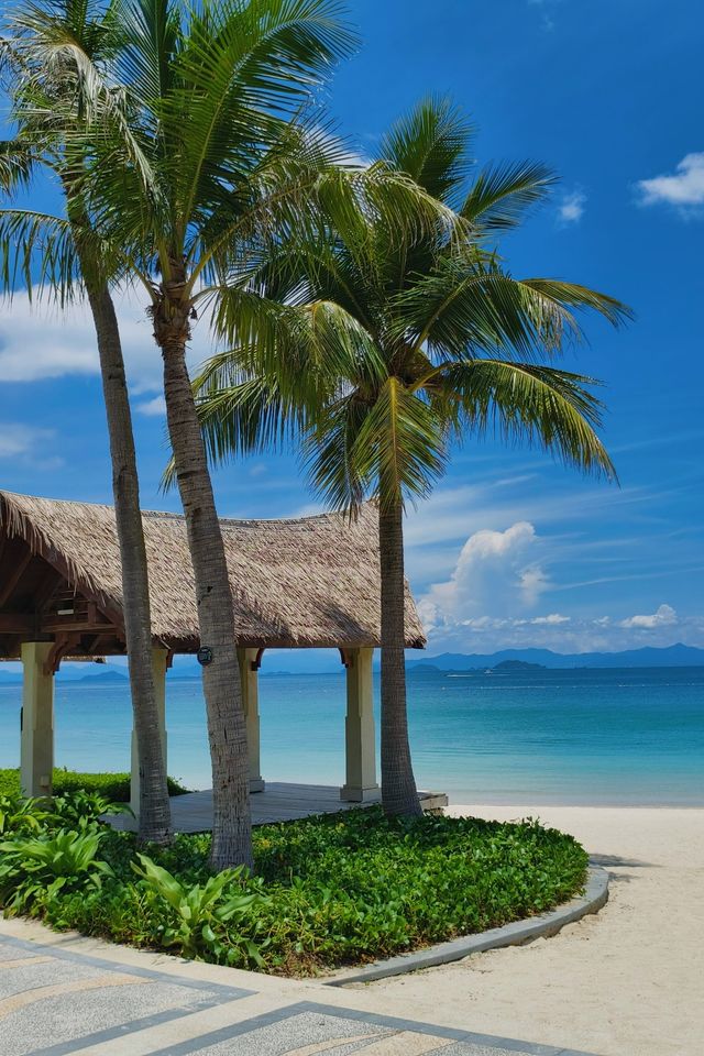 深圳獨家潮趣旅行指南，解鎖鵬城新玩法