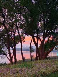Some places are too peaceful to be famous: Discover a Hidden Gem 40 min from Yiwu