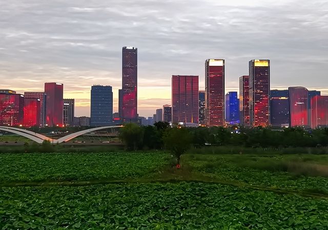 衝衝衝，杭州「荷花秘境」完美綻放！