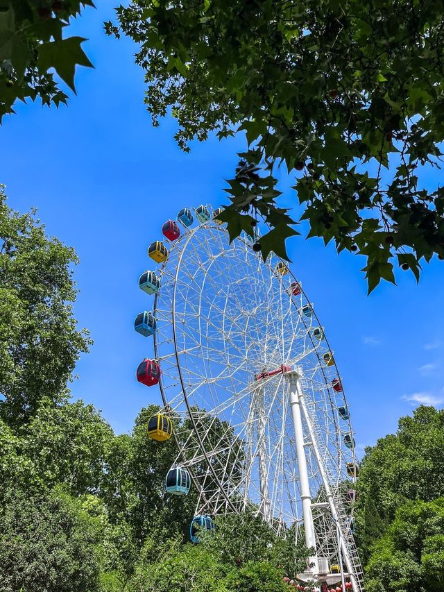 放工後帶小朋友去碧沙崗公園散步最適合