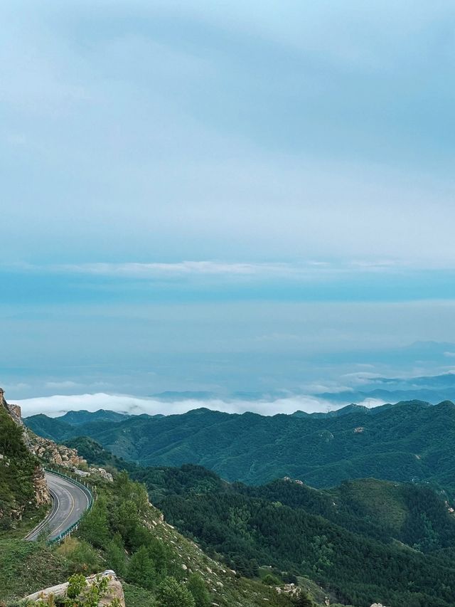 莫干山呢10個鐘，醫好咗我三年嘅精神內耗！
