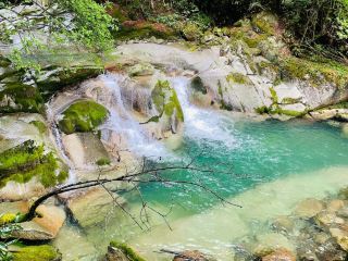 Visited Micangshan National Forest Park three times and finally figured it out.
