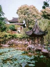 獅子林｜700年禪意園林嘅前世今生