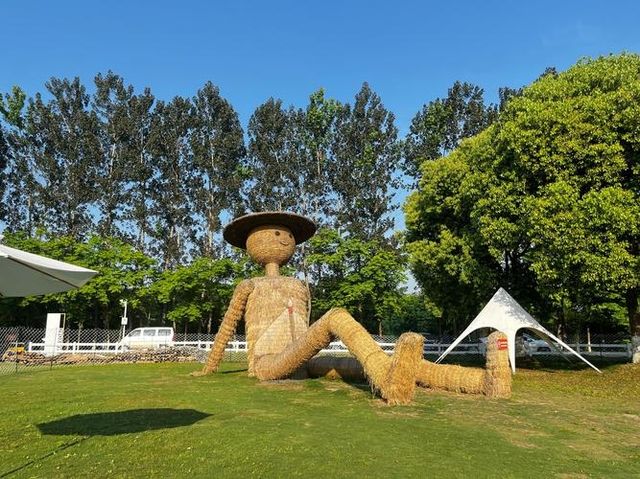 京山稻香公園保姆級攻略！坐小火車闖稻田畫，9月親子遊首選