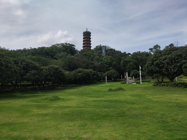 《河畔夢境，蔚徕的治癒時光》