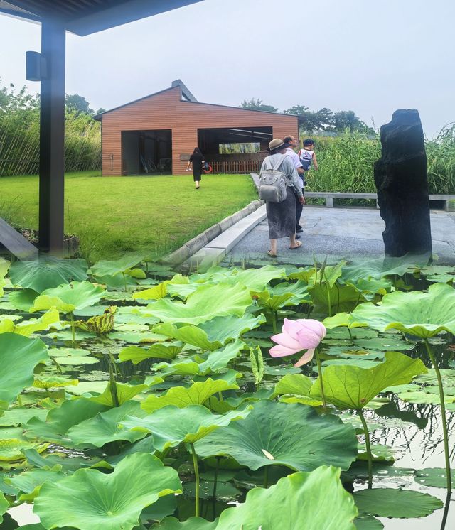 遠離暑氣！邂逅蘇州太湖邊嘅治癒系避暑之所