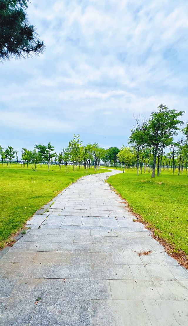 夏日暢遊煙台牟平沁水河口國家濕地公園