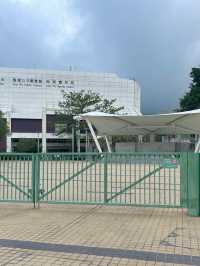 ⛰️香港行山新發現！東梅古道必衝攻略，尋覓大嶼山秘境！