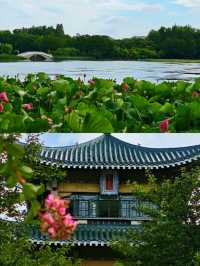 武漢受罪已回，真唔建議7月份嚟