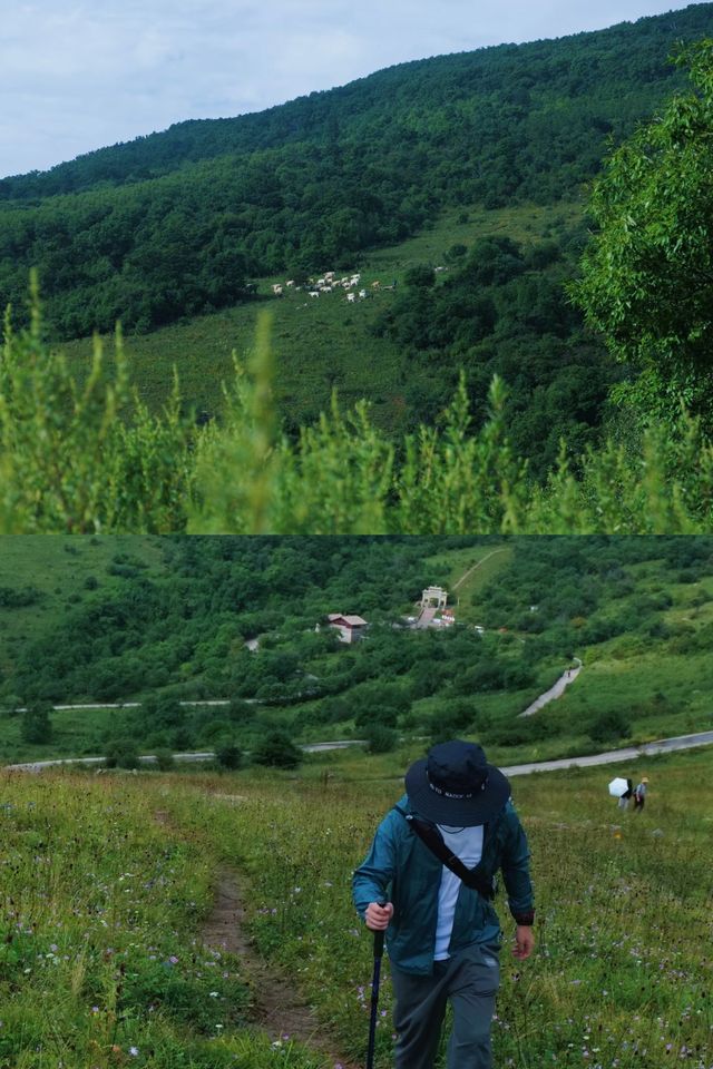 雲中草原太驚艷 一步一景美到心顫！