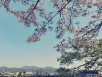 **【大阪隱世秘境！嵐山慢活一日體驗全紀錄】**  