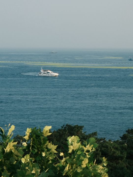 Qingdao skyline 