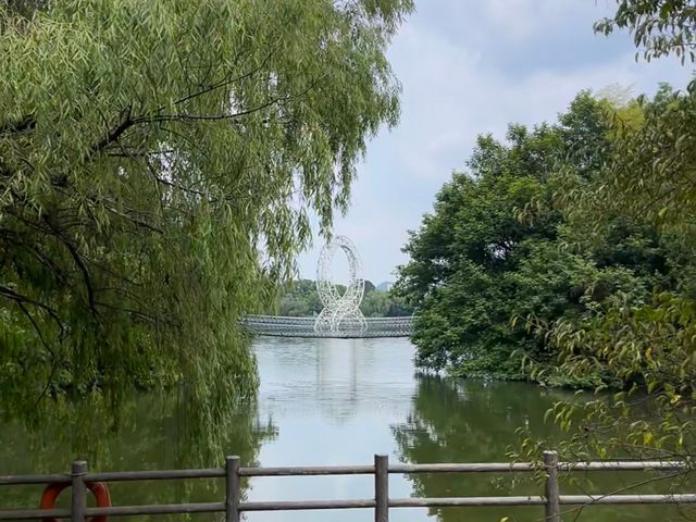 去咗4次安吉竹博園，終於玩到明！
