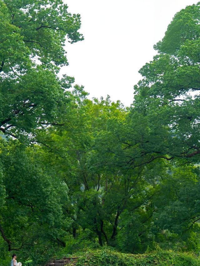 桐廬48小時避暑記：闖入26℃嘅富春江清涼結界