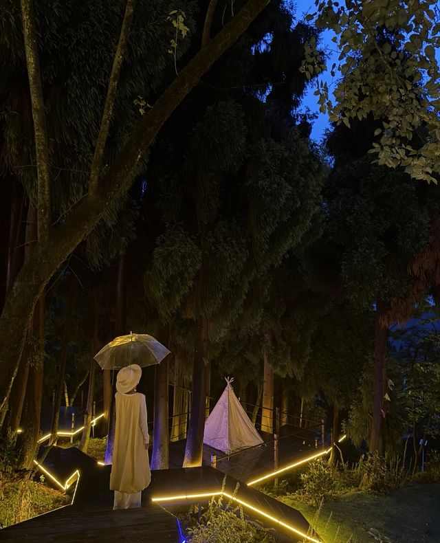 喺25℃嘅山頂雲端  睇日出追晚霞