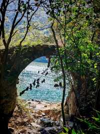清遠白廟漁村0元打卡攻略｜藏不住嘅水鄉煙火氣