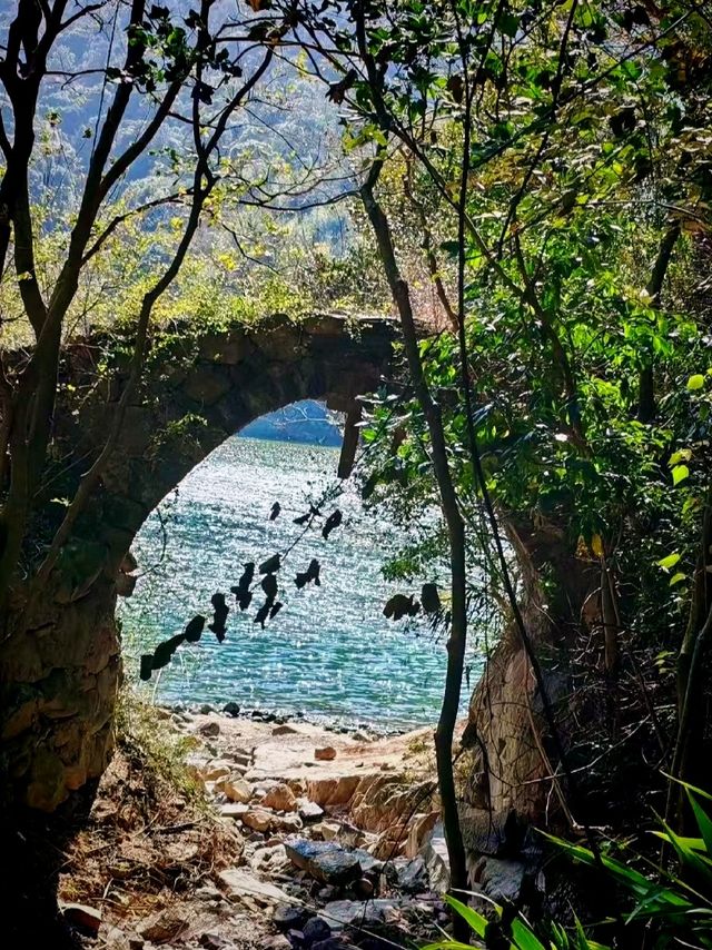清遠白廟漁村0元打卡攻略｜藏不住嘅水鄉煙火氣
