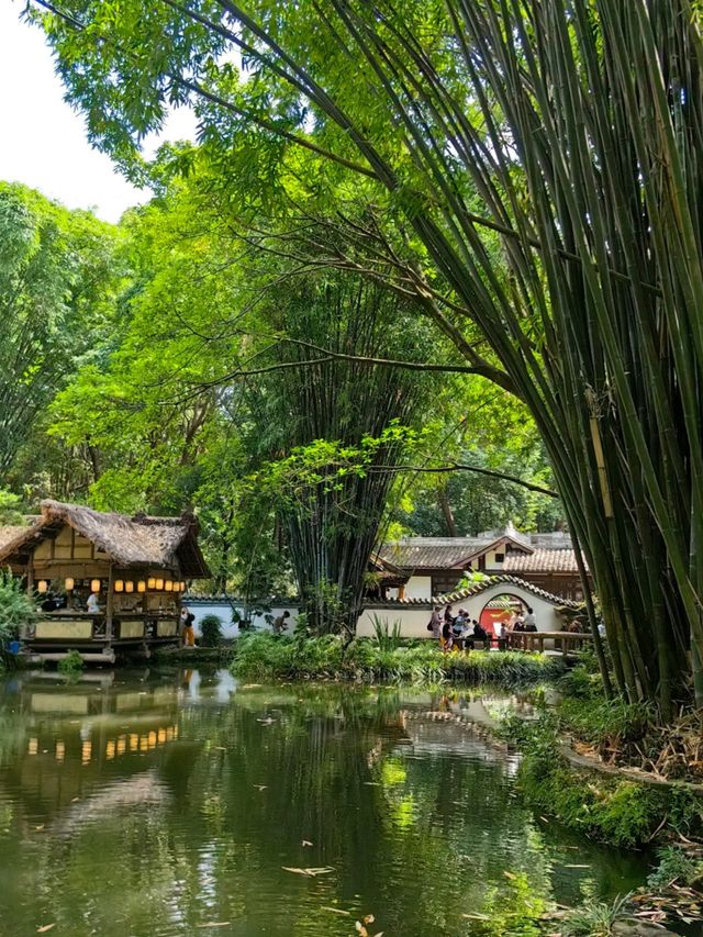 夏日成都暴走攻略｜本地人認證嘅清涼玩法&避雷指南！    行程規劃（3天2夜避暑版）  Day1