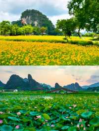 峰林曉鎮旅遊攻略