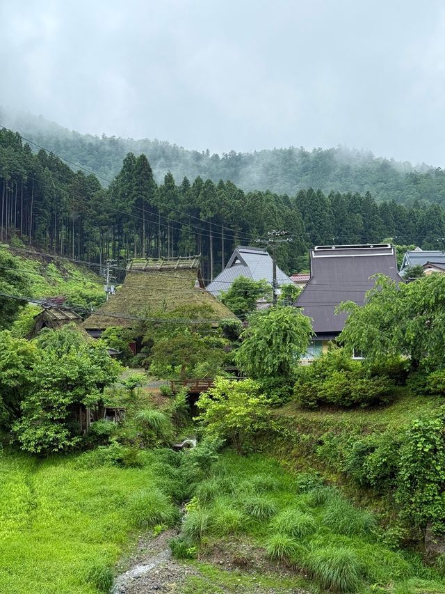 來京都治癒之家過夏天