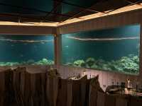 Exceptional Facilities and Service