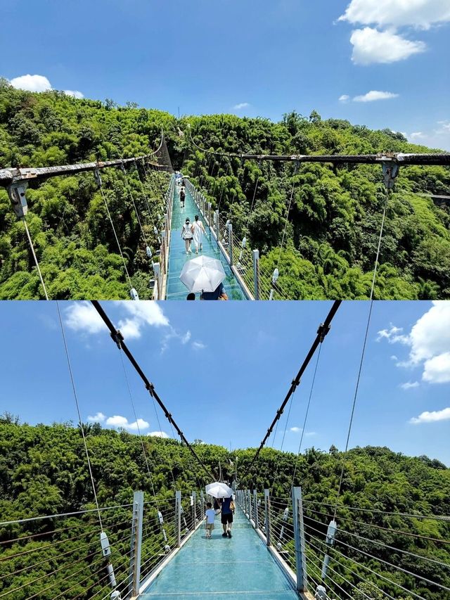 川西竹海｜成都1h直達的綠野仙蹤，沉浸式吸氧攻略 