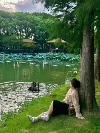 上海最好的公園都是免費的（合集附位置）