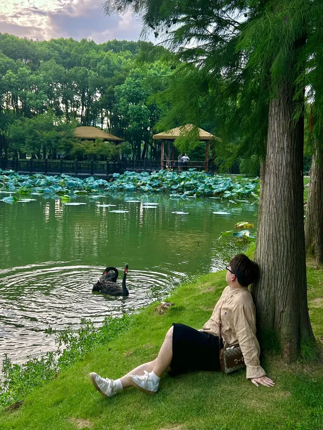 上海最好的公園都是免費的（合集附位置）