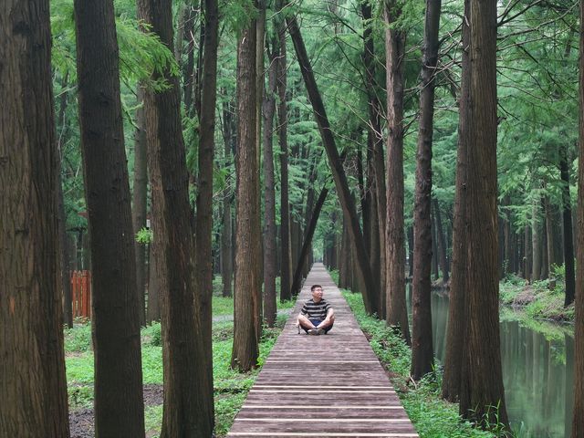 水城慢生活,雙倍綠色暴擊!溱湖濕地+李中森林一日遊。 水城慢生活,雙倍綠色暴擊!溱湖濕地+李中森林一日遊。