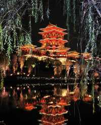 瀋陽同遊記：豪澤暖意與世博園夜韻