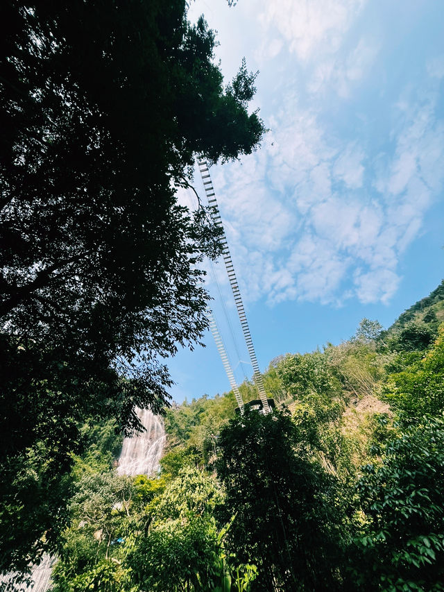 Bamboo trails, mountain air, and a zipline through the clouds — Guangzhou escape!