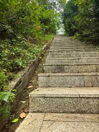 長沙「森林系遠足」：從梅溪湖到桃花嶺獨享整片城市綠洲 在長沙，隱藏著一條將湖光、山景、野趣一網打盡的