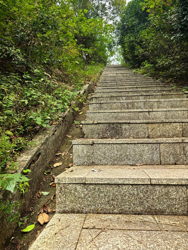 長沙「森林系遠足」：從梅溪湖到桃花嶺獨享整片城市綠洲 在長沙，隱藏著一條將湖光、山景、野趣一網打盡的