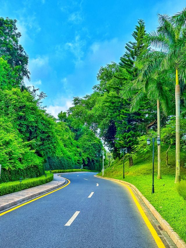 深圳本地人推薦，宮崎駿的春天
