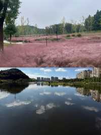 打卡宜昌沙河，邂逅公園與自然的浪漫