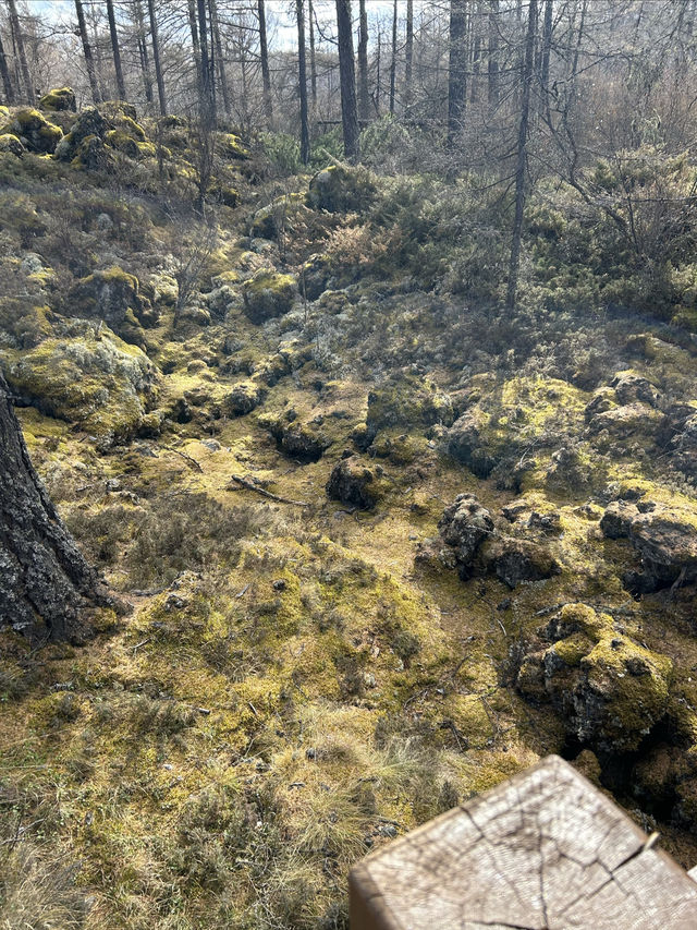 阿爾山火山奇觀！駝峰嶺天池+不凍河神仙CP，私藏內蒙天花板級秋色！ 此生必去！阿爾山國家森林公