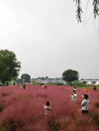 南京江心洲遛娃|真的已經到了next level