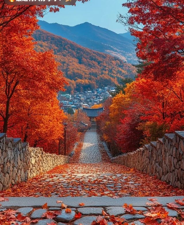 堪比香山紅葉的地方—四川光霧山