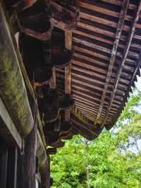 四川這座藏在村裡的元代大殿讓我破防了……